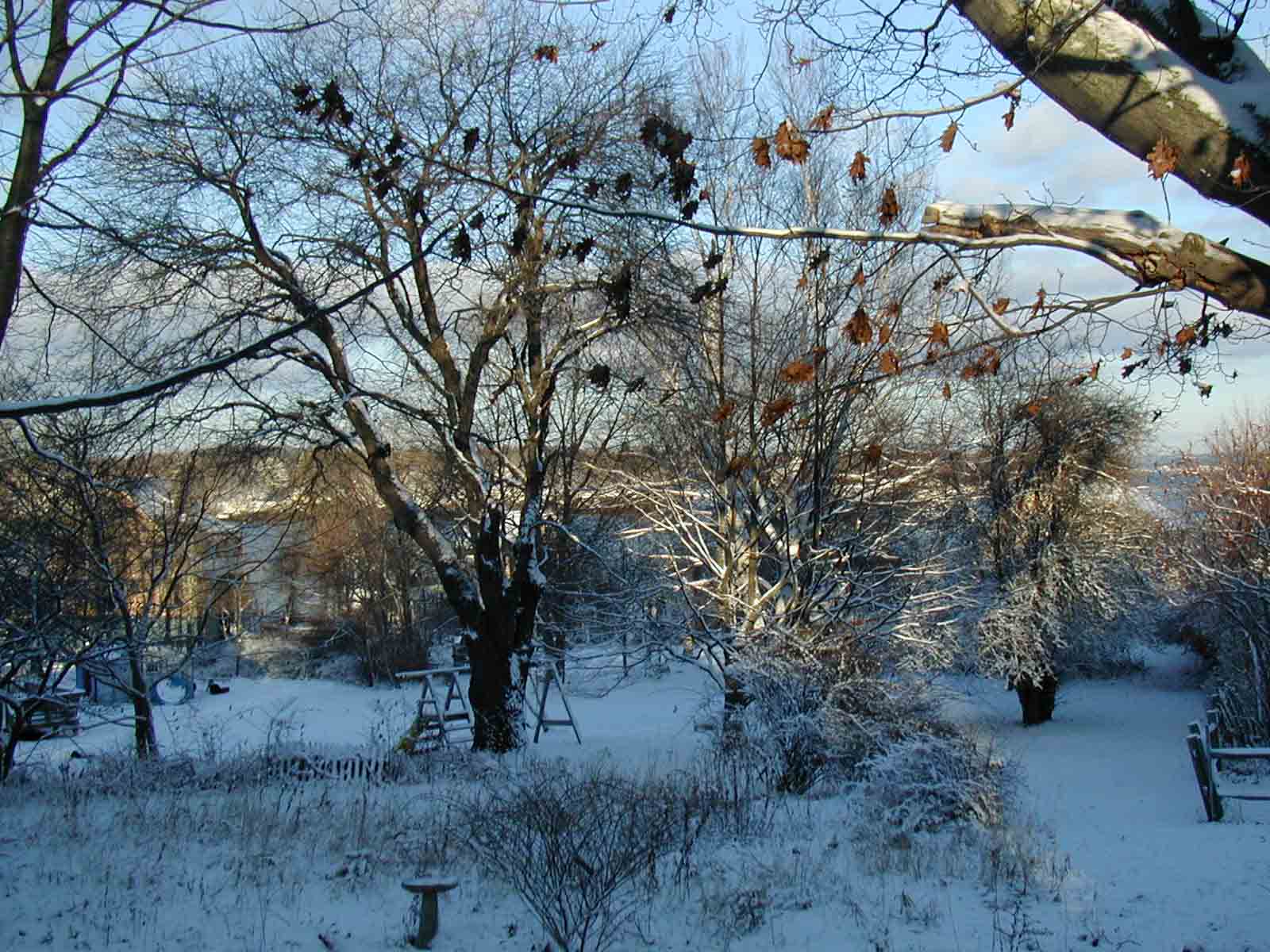 [View from deck in winter]